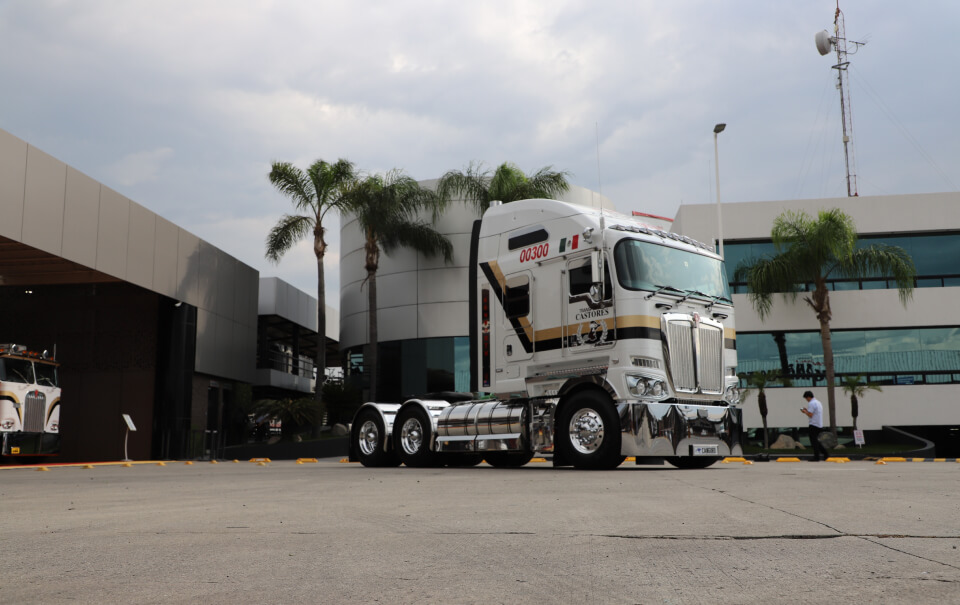 Imagen unidad El canguro